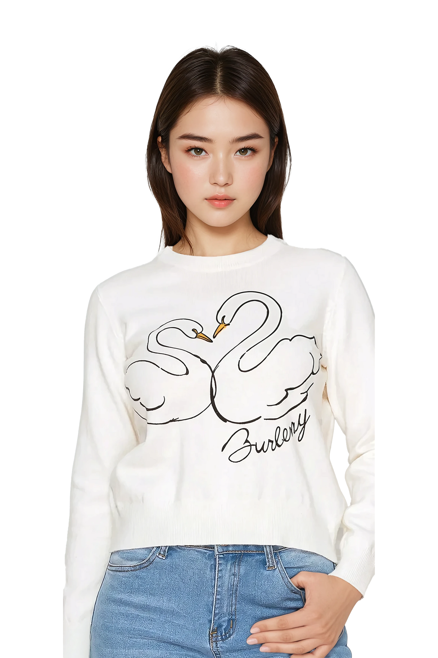 Swan Embroidered Sweater - Korean Fashion