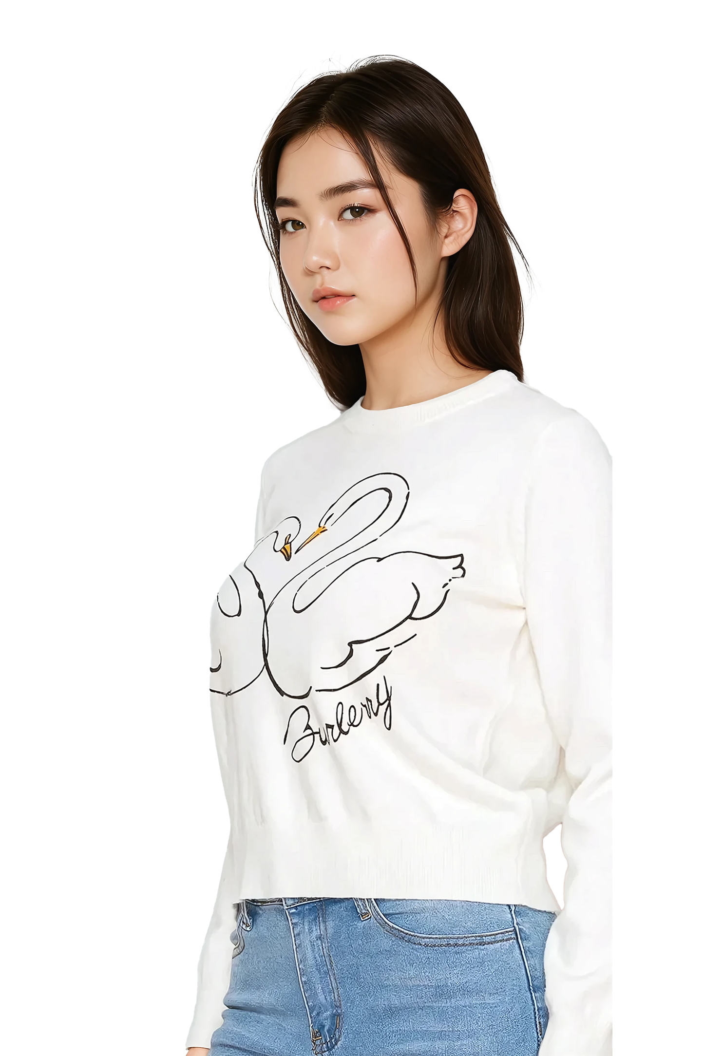 Swan Embroidered Sweater - Korean Fashion