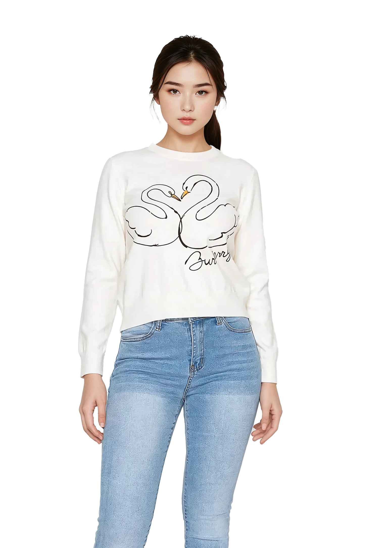 Swan Embroidered Sweater - Korean Fashion