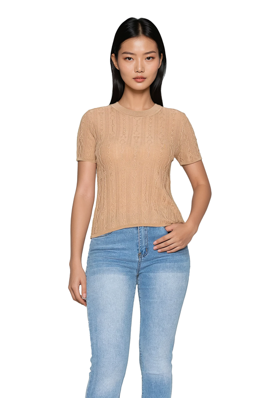Women’s Slim-fit Beige Short-Sleeve Lace Knit Top - Korean Fashion